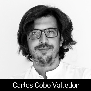 CARLOS COBO VALLEDOR