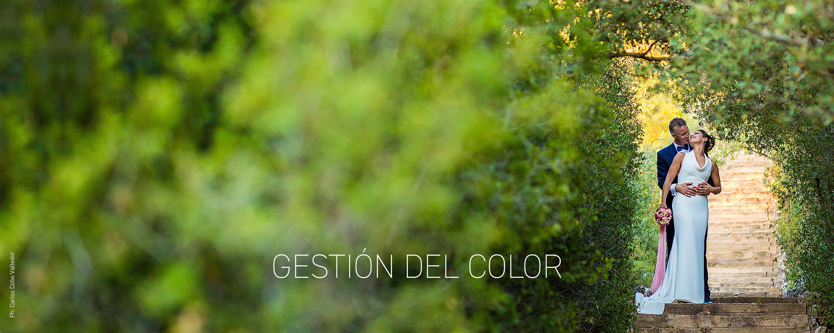 AE_Gestione-Colore_L_ESP