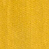 Michelangelo-_-Giallo