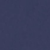 Pelle-stampa-pieno-fiore-blu-1